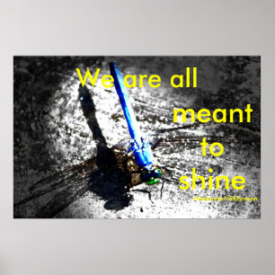 We are all meant to shine poster