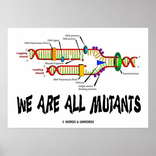 We Are All Mutants (DNA Replication) Poster (Front)