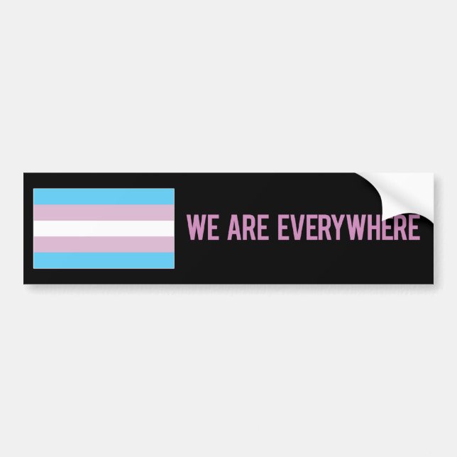 We Are Everywhere sticker (transgender) (Front)