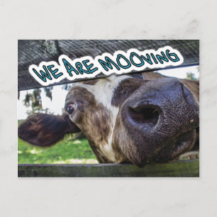 We are Mooving Postcard