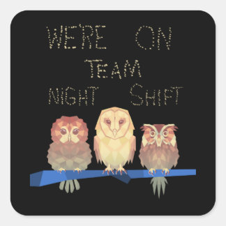 We Are On Team Night Shift Owls Square Sticker