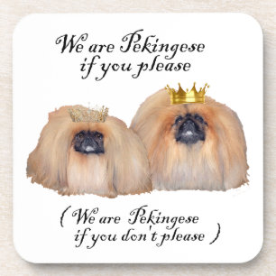 We are Pekingese Coaster