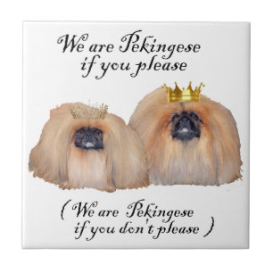 We are Pekingese Tile