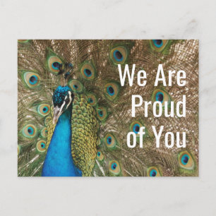 "We Are Proud of You" Beautiful Peacock Photo Postcard