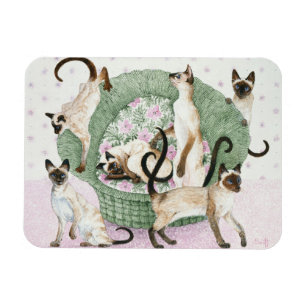 We are Siamese if you please Magnet