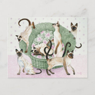 We are Siamese if you please Postcard