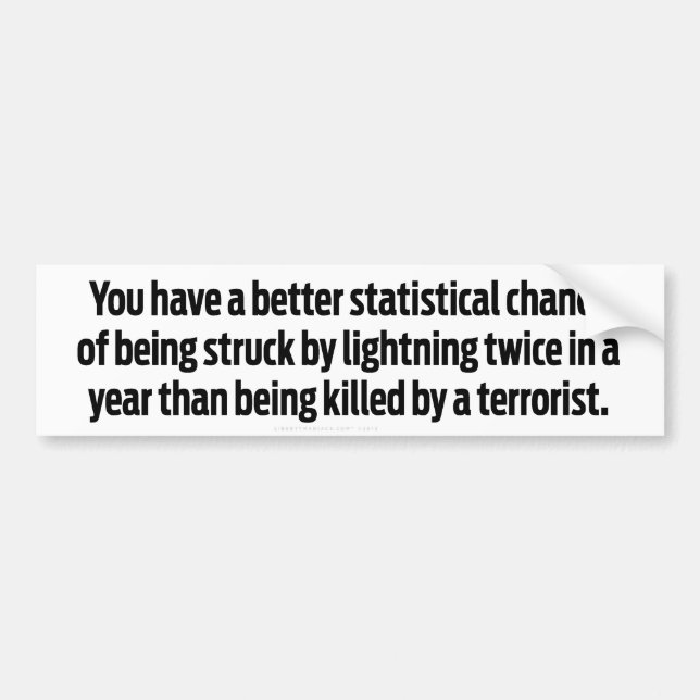 We are the Government Bumper Sticker (Front)