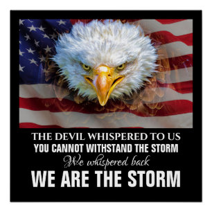 WE ARE THE STORM POSTER