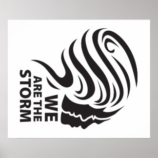 We are the Storm Poster