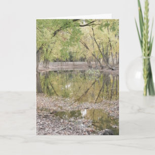 We are truly grateful. ~ 1 thank you card