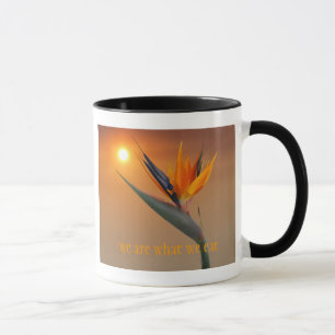 we are what we eat mug