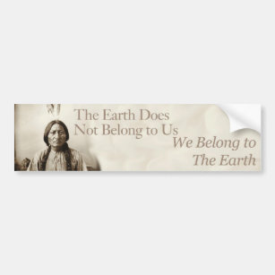 We belong to the earth bumper sticker