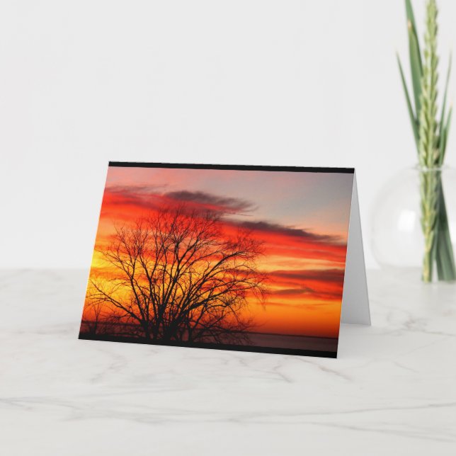 We Belong To The Same Family Tree Birthday Humour Card (Front)