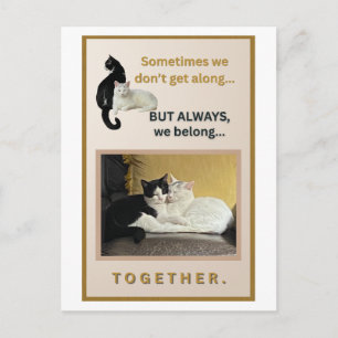 We Belong Together Postcard