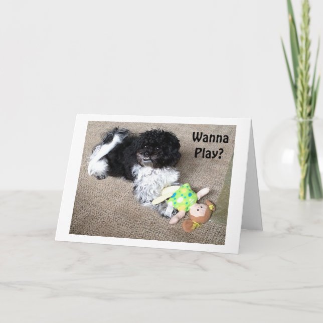 WE CAN DO ANYTHING YOU WANT FOR YOUR BIRTHDAY CARD (Front)