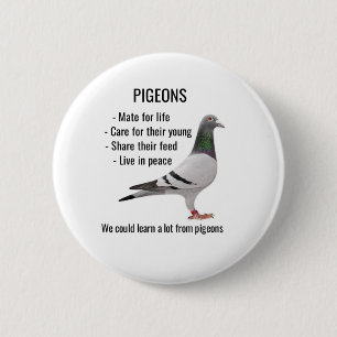 We Can Learn A Lot About Pigeons for pigeon fancie 6 Cm Round Badge