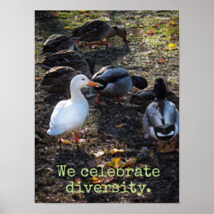 We Celebrate Diversity Poster Print