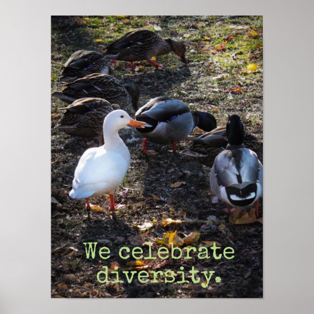 We Celebrate Diversity Poster Print (Front)