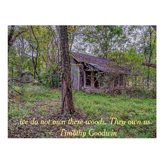 We do not own these woods... postcard