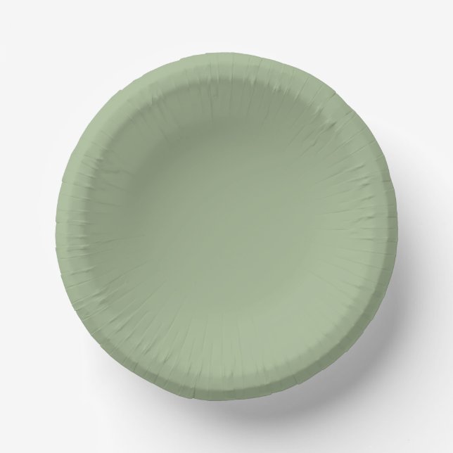 We Got Married Green Paper Plate (Front)