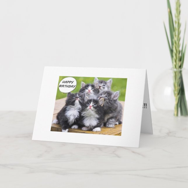 WE HAVE 9 LIVES "OVER THE HILL GROUP CARD" CARD (Front)