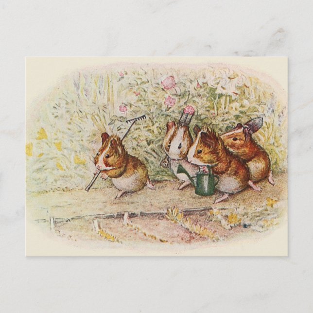 We Have a Little Garden Guinea Pigs Song Postcard (Front)