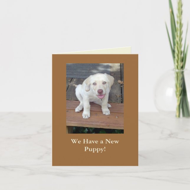 We Have a New Puppy Dog Announcement Customisable (Front)