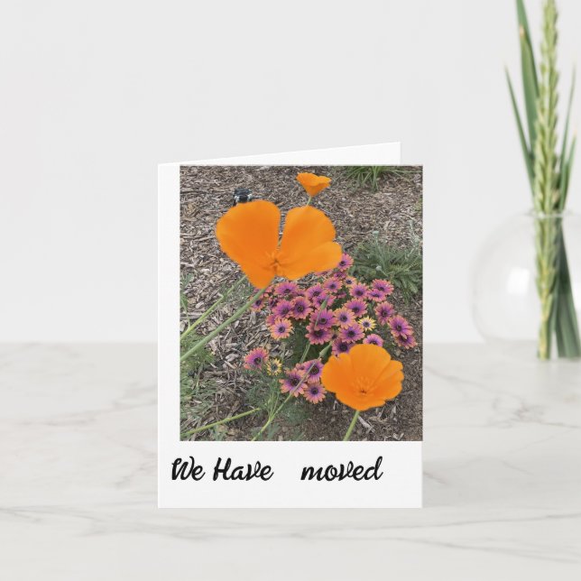 We have moved new address notification card (Front)