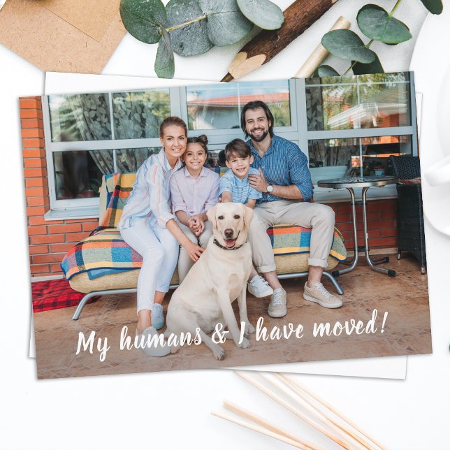 We Have Moved Personalised Pet Photo Moving  Announcement (Creator Uploaded)