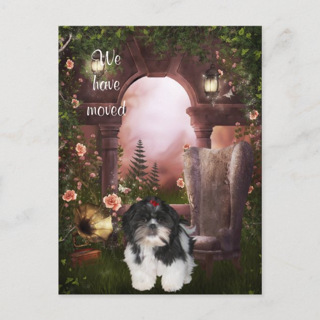 "We have moved" Shih Tzu Postcard (Front)