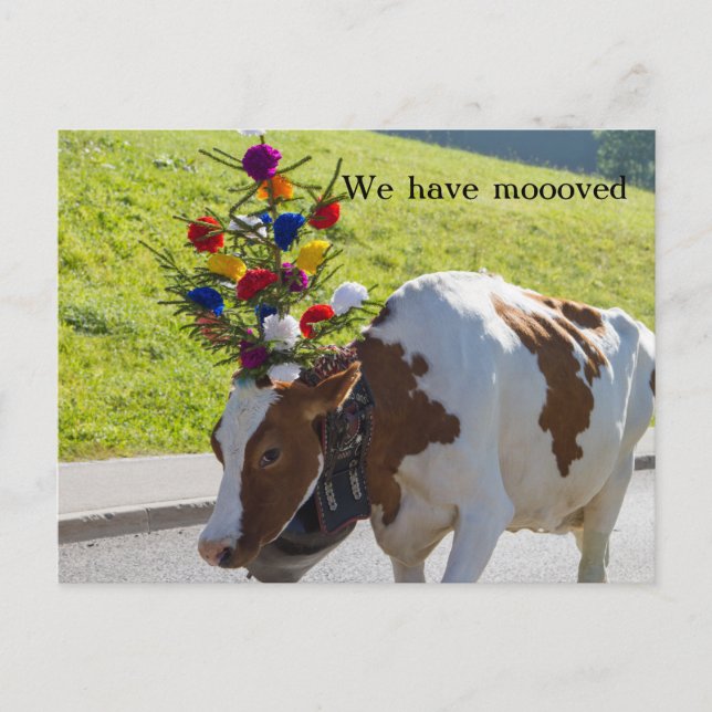 We Have Moved Swiss Cow Postcard (Front)