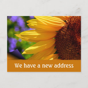 We have moved with sunflower New address Announcement Postcard