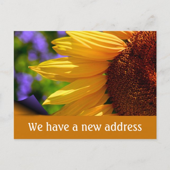 We have moved with sunflower New address Announcement Postcard (Front)