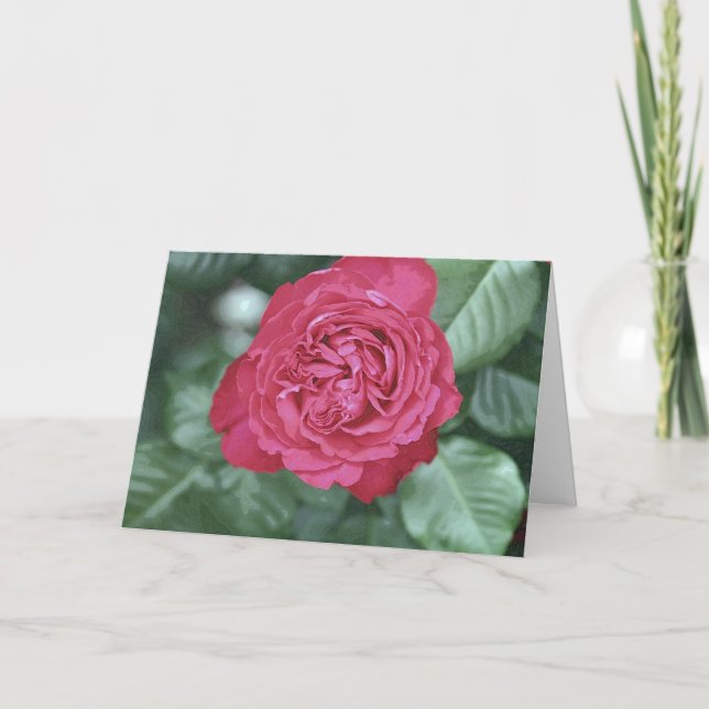 We heal together as we love holiday card (Front)