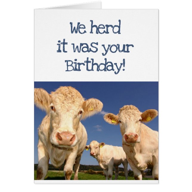 We Herd it Was Your Birthday Fun Cow Humour (Front)