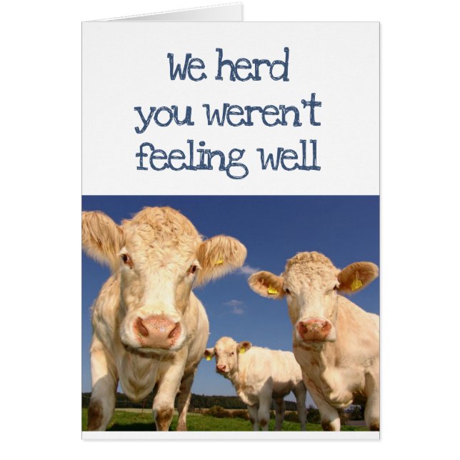We Herd You Weren't Feeling Well Fun Cow Humor (Front)