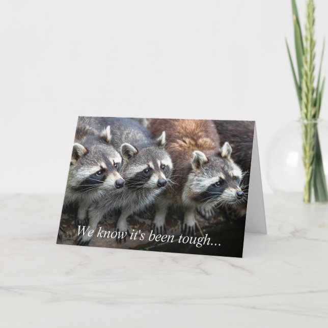 We Know it's been Tough Racoon Group Animals Card (Front)