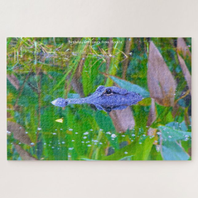 We Love Aligators in Florida Jigsaw Puzzle (Horizontal)