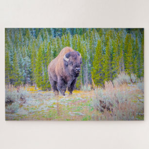 We love Bison in Wyoming Jigsaw Puzzle