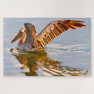 We love Brown Pelicans Florida Jigsaw Puzzle