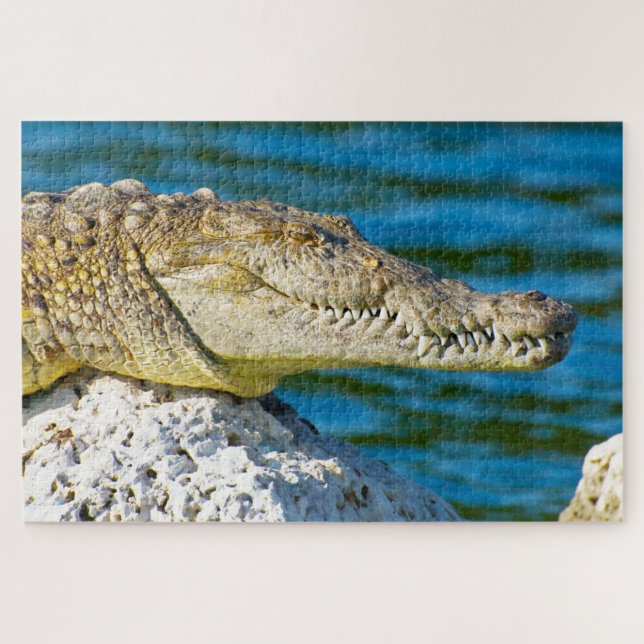 We love Gators in Florida Jigsaw Puzzle (Horizontal)
