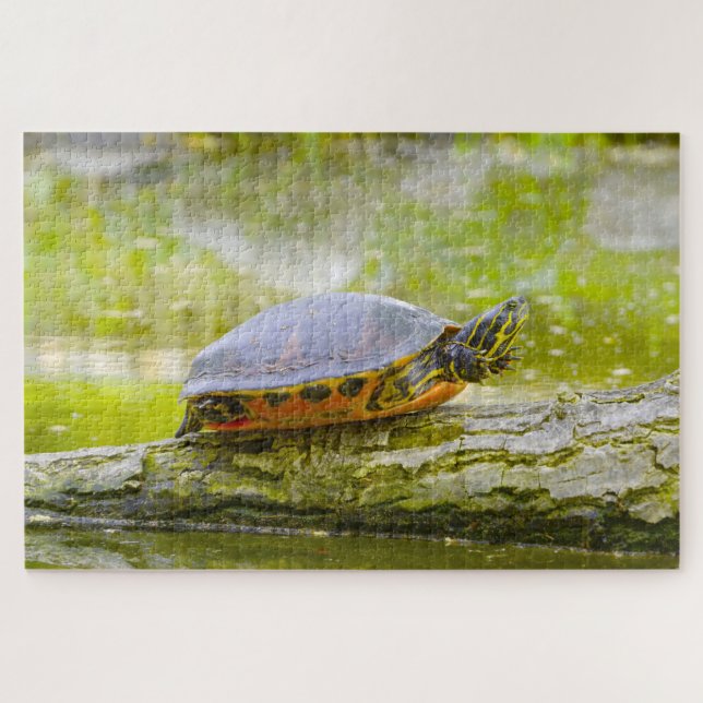 We Love Rotbauch Eared Water Turtles Jigsaw Puzzle (Horizontal)