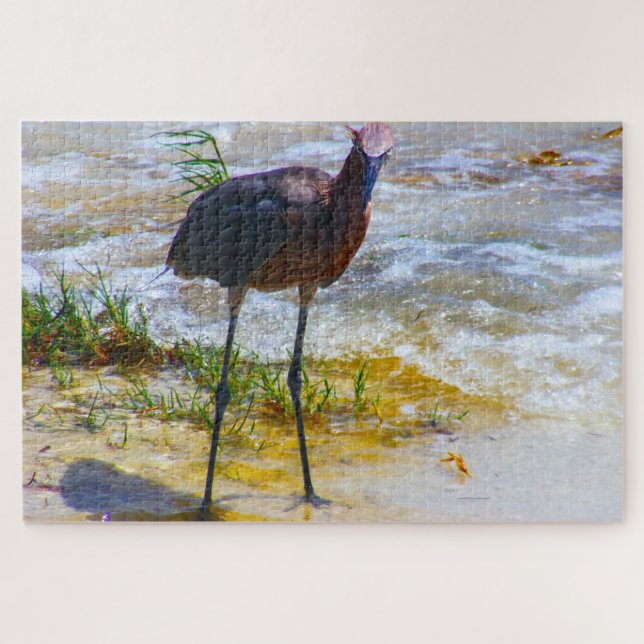 We Love Sanibel's in  Florida Jigsaw Puzzle (Horizontal)