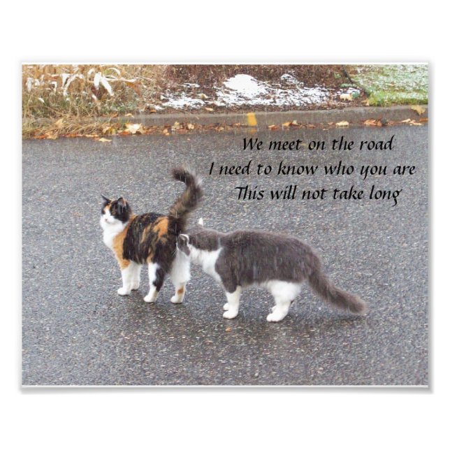 We meet on the road Haiku Photo Print (Front)