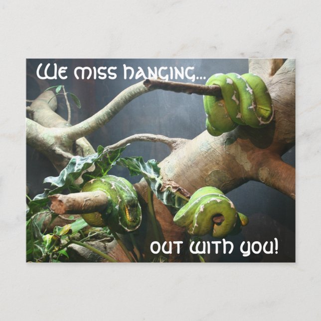 We miss hanging out with you postcard (Front)