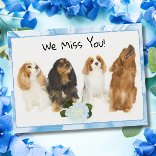 We Miss You! 4 Cavalier King Charles Postcard
