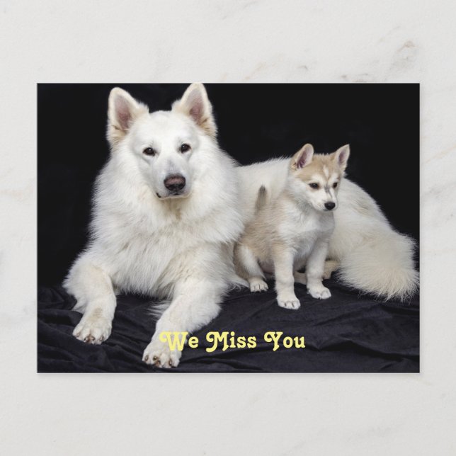 We miss you cute mamma dog and pup postcard (Front)