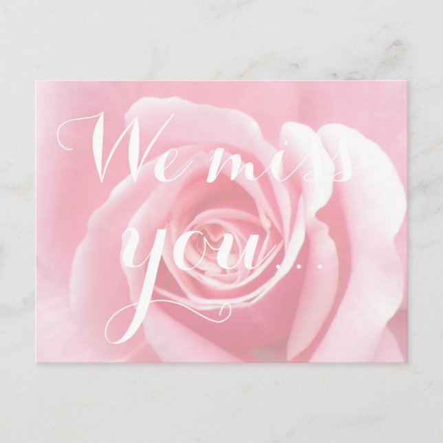 We miss you, Handwriting Typography Pink Rose Postcard (Front)