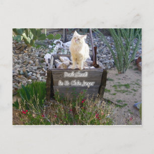 We Miss You Wyatt Postcard