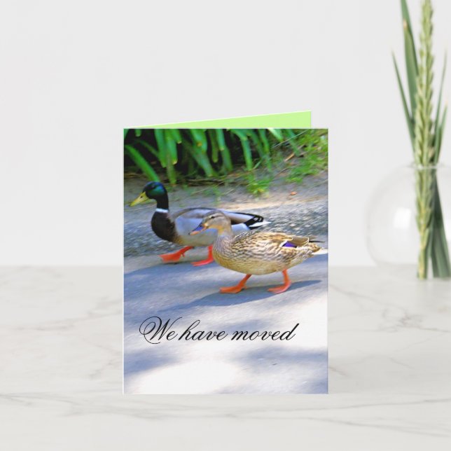 We Moved!_ Announcement (Front)